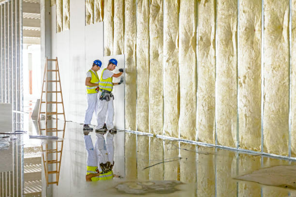 Best Spray Foam Insulation in Shenandoah, VA